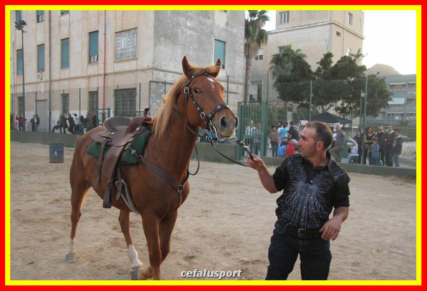 161106 equestre 073_tn.jpg